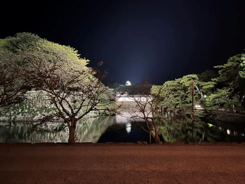 近江商人発祥の地、彦根、多賀、近江八幡を周遊するモデルコースを提案|滋賀県