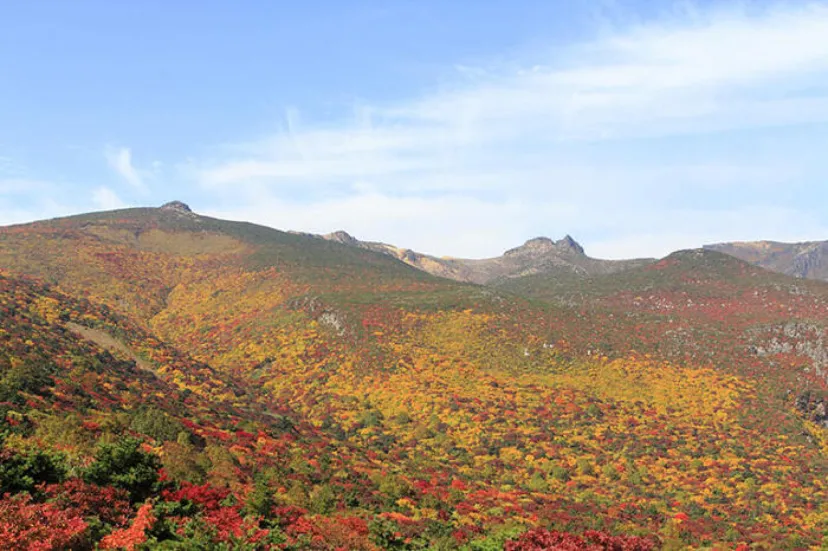 【日本百名山】20座目は紅葉の絨毯を見に安達太良山へ（福島県）