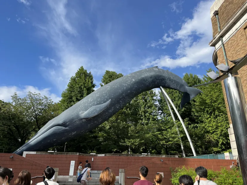 【東京】クラウドファンディング1日で約4億円。上野国立科学博物館を救え！！
