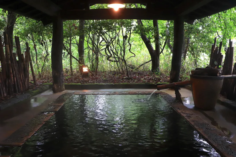 【四季と宿をめぐる旅】大分県〜旅館かくおやとミヤマキリシマのくじゅう連山〜