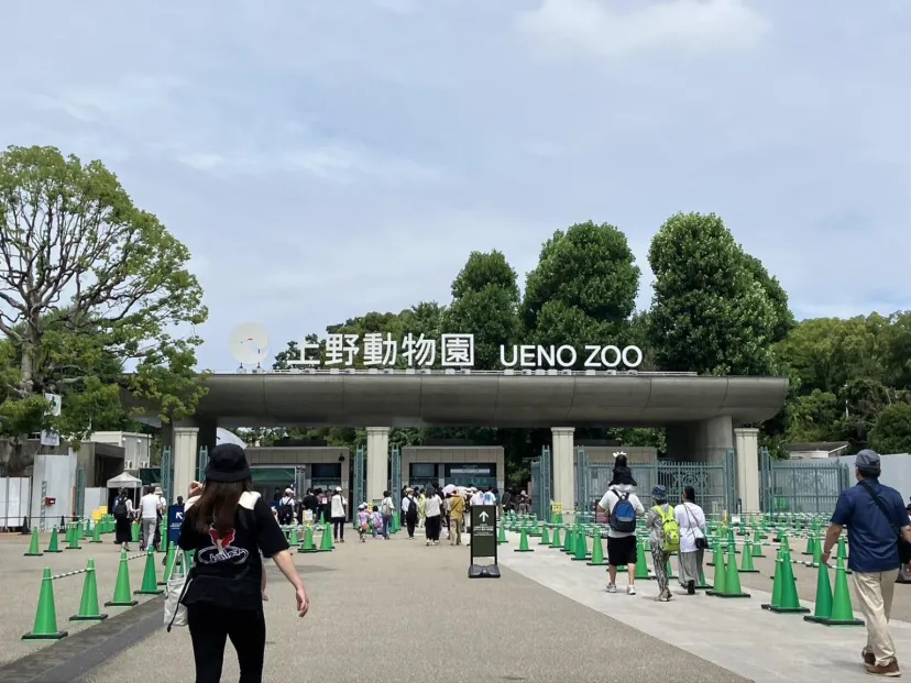 『ざんねんないきもの事典』の目線で上野動物園を回ってみた！