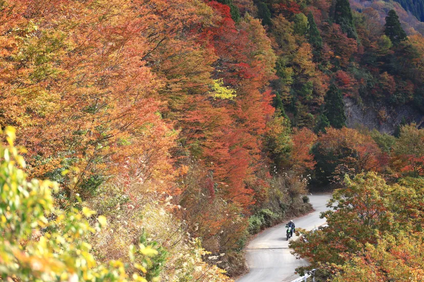 【私の好きな日本遺産】福井から京都を結ぶ古道「鯖街道」はツーリングやロングライドもおすすめ