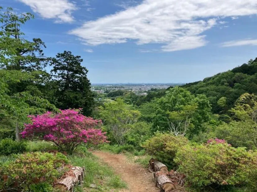 【埼玉・越生】眺望が見違えるほど良くなった「西山高取」と「虚空蔵尊さくら山」を歩く