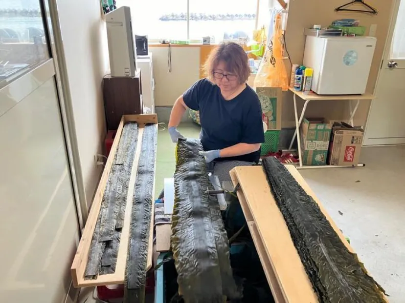 昆布の聖地へ！白口浜真昆布加工小屋見学で見つけた本物の食文化【北海道鹿部町】