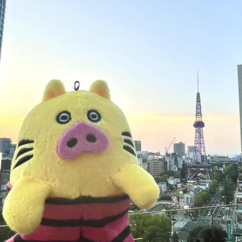 トラピッグってなに？徹底解説します！