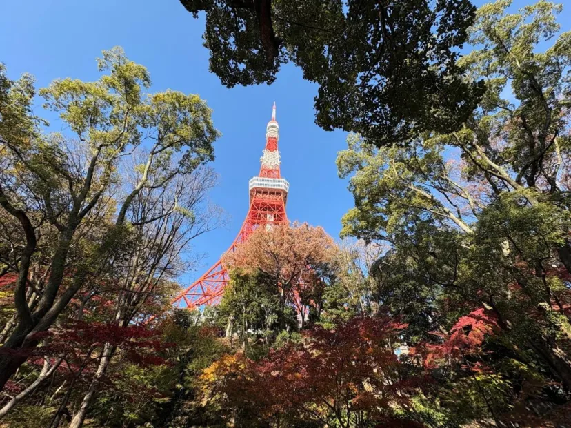 東京タワーから縦走する"まちなかハイキング"