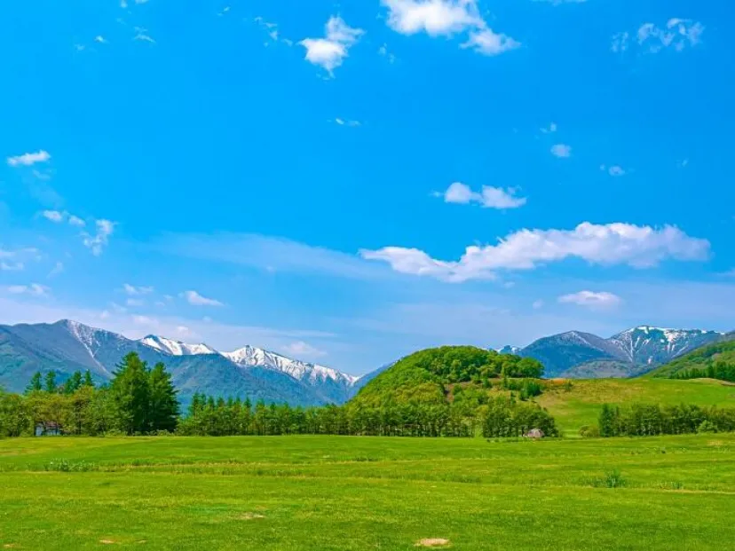 北海道の草原はどこにある？ 壮大な景観に出会えるおすすめの草原はここ！