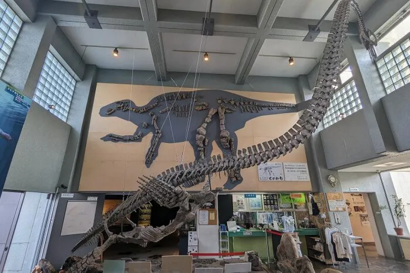 【北海道】世紀の大発見！カムイサウルスに会いに行こう「むかわ町穂別博物館」
