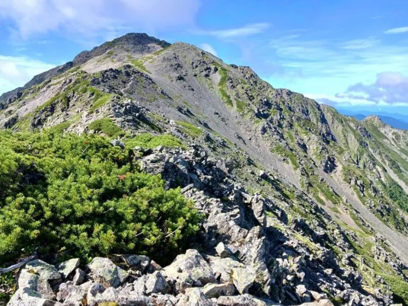 【天空の稜線を歩く】南アルプス『白峰三山』人気の夏山登山！！