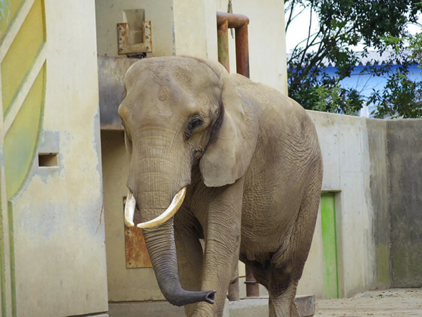 熊本市動植物園
