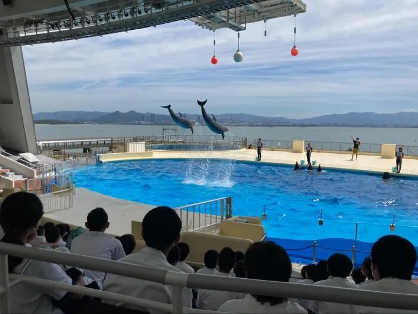 マリンワールド海の中道の完全ガイド！ラッコやイルカに会いに行こう
