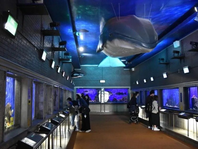 腹ペコで行くと危険（デンジャラス）「室蘭民報みんなの水族館」｜北海道