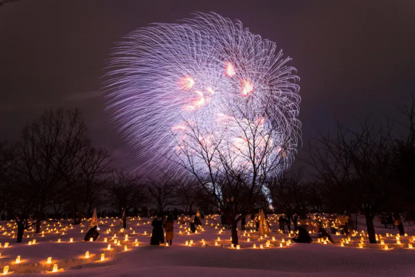 【新潟】第38回長岡雪しか祭りに行ってきました！※2023年は終了
