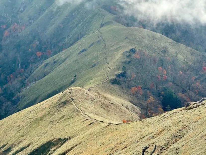 【日本百名山】23座目は天空の絶景ロードを見たくて剣山へ（徳島県）