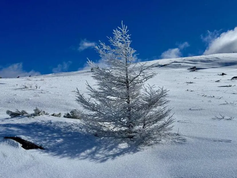 【日本百名山】14座目は霧ヶ峰（車山）を雪中ハイキング（長野県）