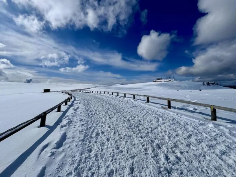 【日本百名山】15座目は美ヶ原（王ヶ頭）のパノラマコースを雪中ウォーキング（長野県）