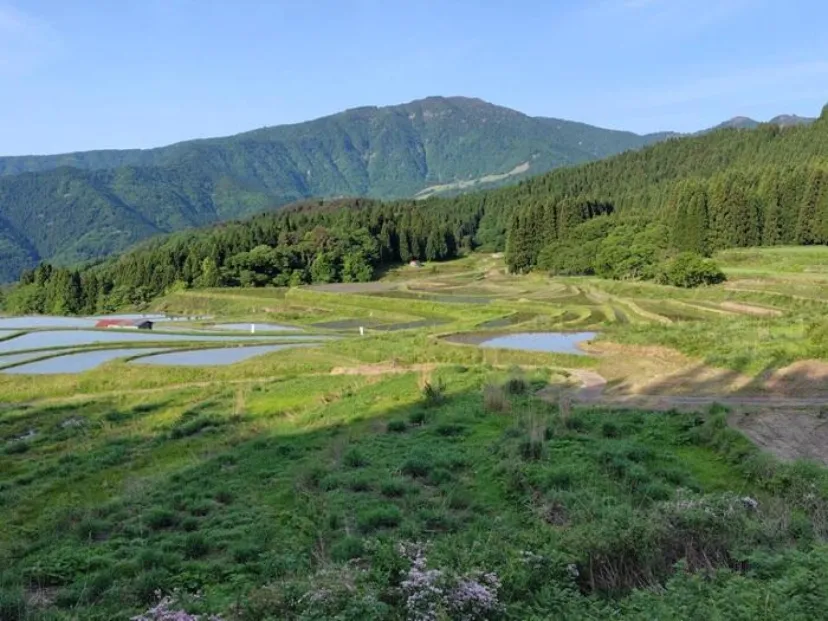 兵庫県の最高峰 "氷ノ山" を望む棚田とハチ高原オートキャンプ場で自然に浸る