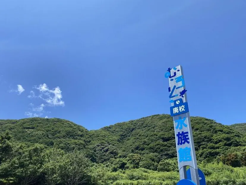 【高知】大人も楽しいぞ！ノスタルジックな「むろと廃校水族館」へ行こう