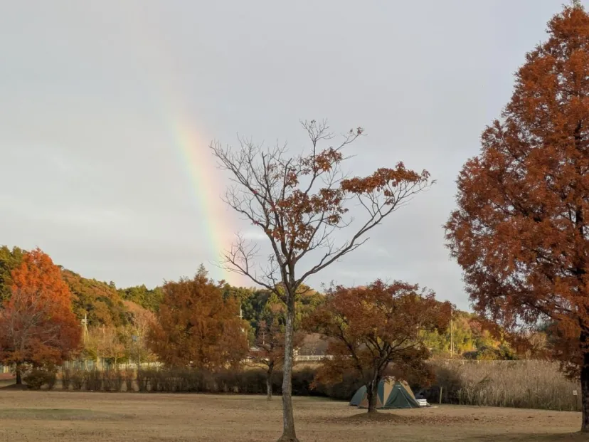涸沼自然公園キャンプ場|子ども連れに人気のファミリーキャンプ4つの楽しみ方|茨城県