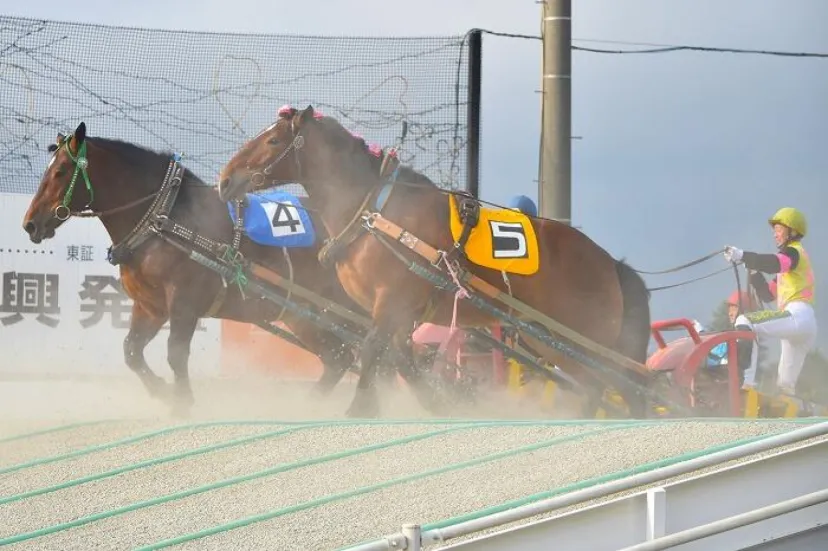 【北海道】興奮せずにいられない！馬の逆転ライブショー「ばんえい十勝」