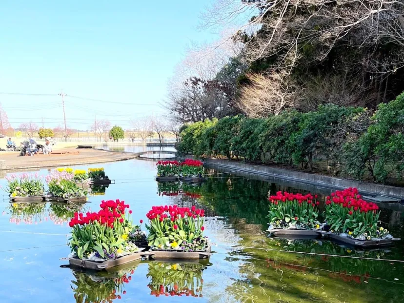 千葉県柏市｜利根川へ向かい『にょろにょろ散策するモデルコース』を提案