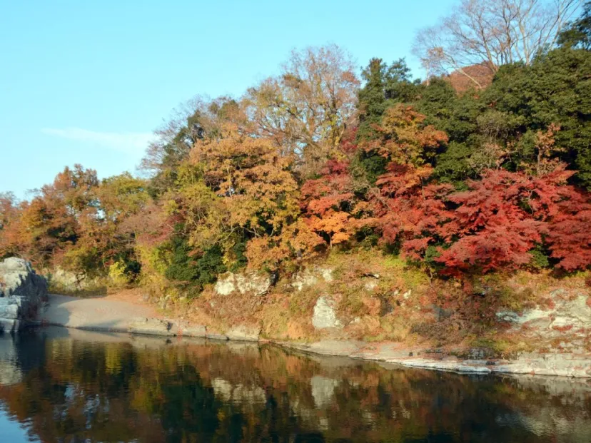 【長瀞紅葉ガイド】荒川や宝登山が紅葉に彩られバラエティー豊かな秋の絶景スポットに恵まれる長瀞