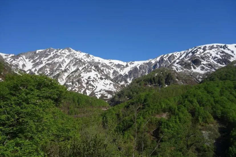 初夏限定 関東から日帰りで行く信州・花の山 3選｜絶景×登山＆ハイキング