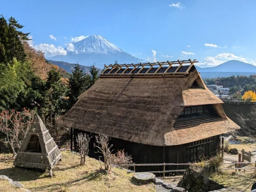 北口本宮冨士浅間神社から樹海へ。富士山の懐で再生の森に触れてきた