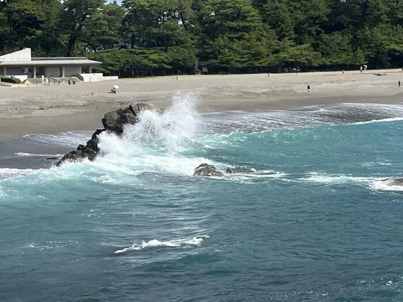 【高知】牧野博士と坂本龍馬でおなじみの高知市内と見どころと名店を紹介