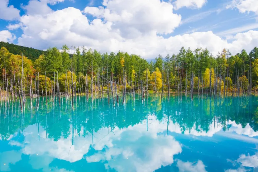 【北海道＆青森】暑さを凌ぐ避暑地3選！一緒に観光したい最寄りのスポットも紹介