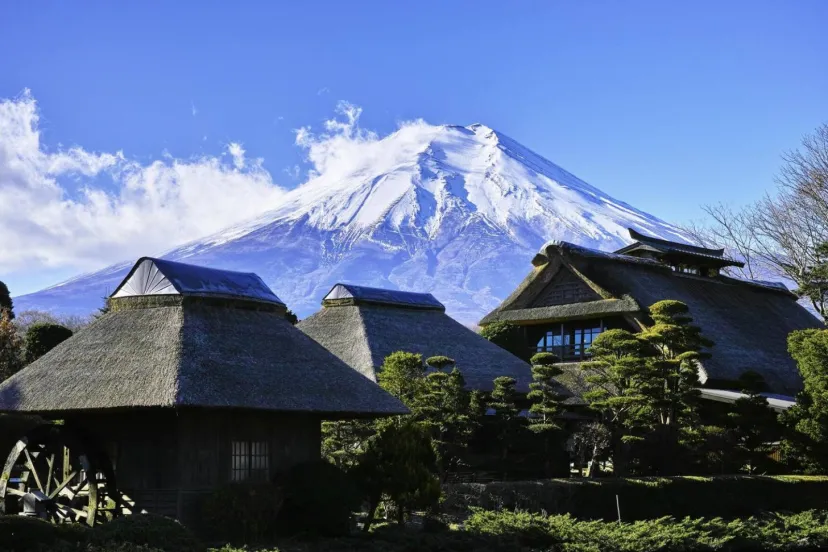 子供連れで行きたい山梨県富士山周辺のおすすめスポット5選