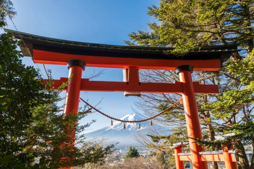 【宝くじが当たる人がこっそり通う】金運と宝くじ当選のご利益がある神社7選