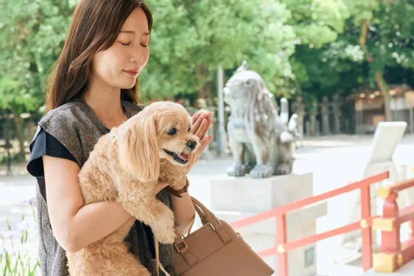 【関東】犬連れで参拝できる神社9選|愛犬のペット祈願・御朱印・お守りも