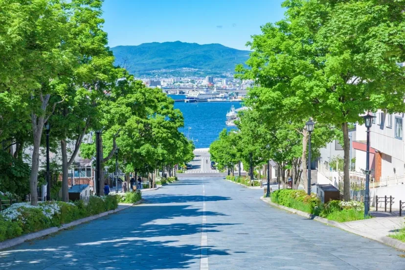 【モデルコース解説付き】夏休みの北海道旅行といえばココ！自然からグルメまで全てを満喫10選