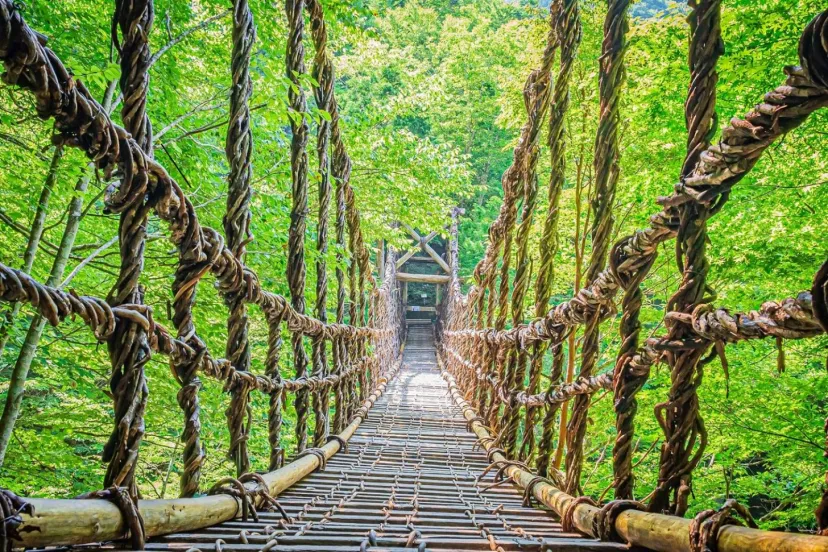 徳島県の絶叫スポット？日本三大秘境にある「祖谷のかずら橋」でハラハラドキドキ！