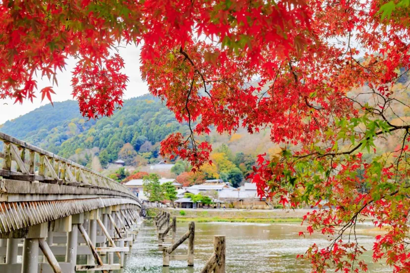 【関西・2026年】紅葉に包まれる絶景神社9選｜今年の見頃はいつ？