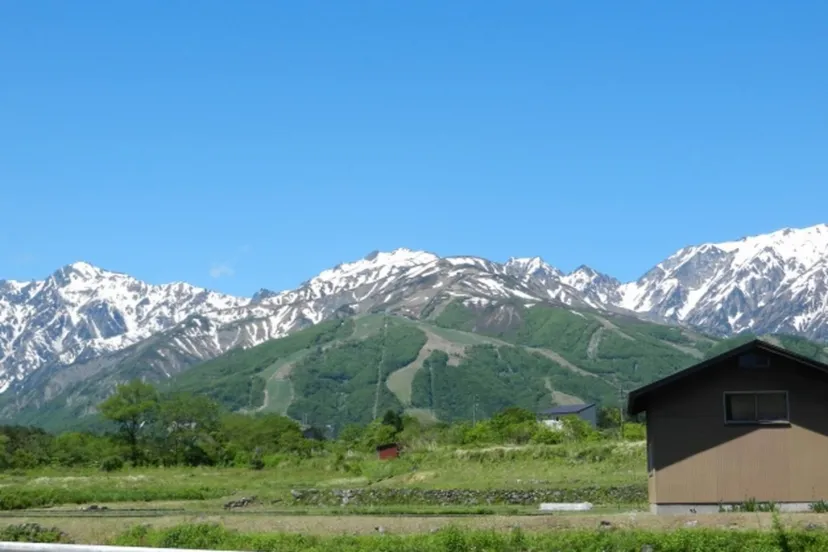 【長野県】”夏のスキー場”何やってるの？白馬周辺スキー場の夏営業5選