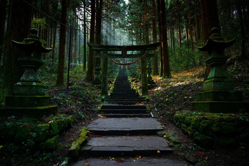 【2026年最新】 お金が"勝手に集まる"全国最強の金運神社7選|銭洗い・宝くじ祈願・吉日カレンダー完全ガイド