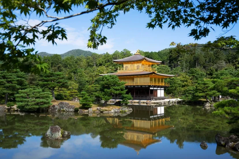【初夏におすすめ】京都の歴史と名所をまわる4選・おすすめグルメ2選