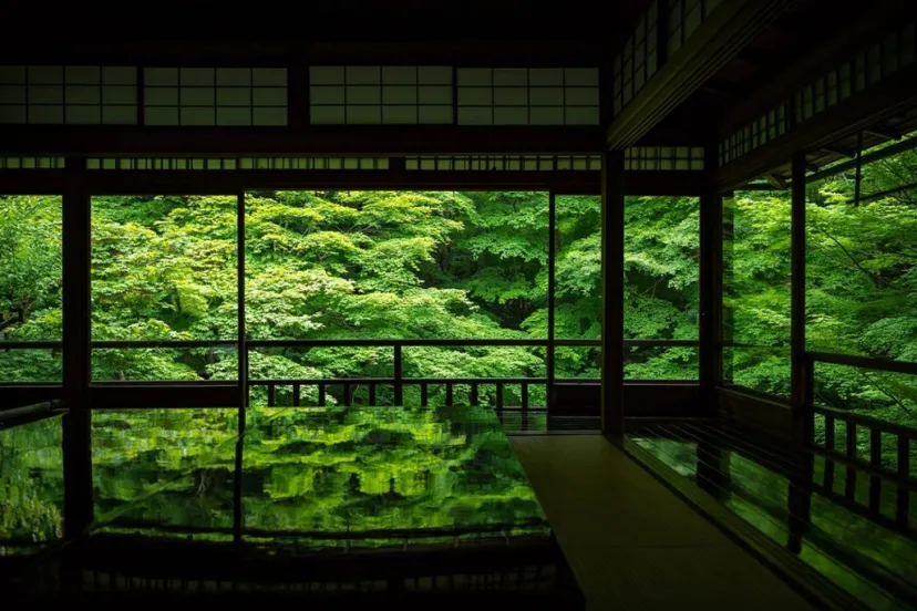 【吸い込まれるような緑の世界へ】新緑が映える京都の絶景スポット4選
