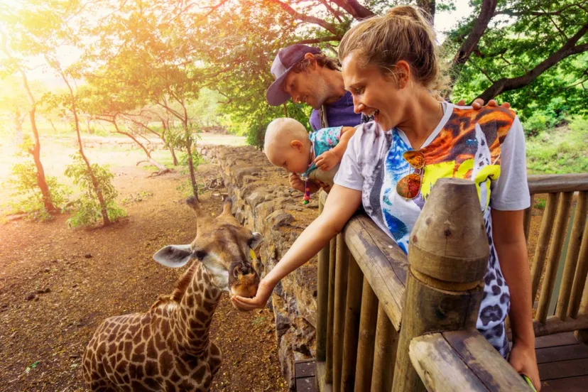 涼しくなってきた今こそ動物園へ！癒しの空間が広がる動物園3選＜兵庫・神奈川＞