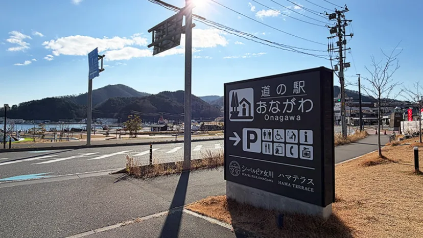 【宮城・釣り車中泊ルポ】道の駅おながわを拠点に、女川港・牡鹿半島で釣り体験