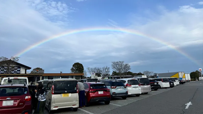 
                    【愛犬と訪問】東名高速のドッグラン付きサービスエリアおすすめ3選
                