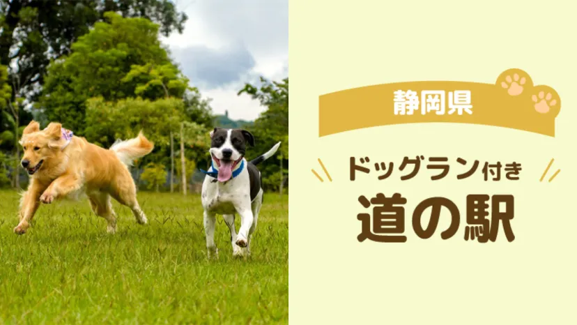 
                    【静岡県】ドッグランがある道の駅2選｜愛犬と車中泊・温泉も楽しめるスポット
                