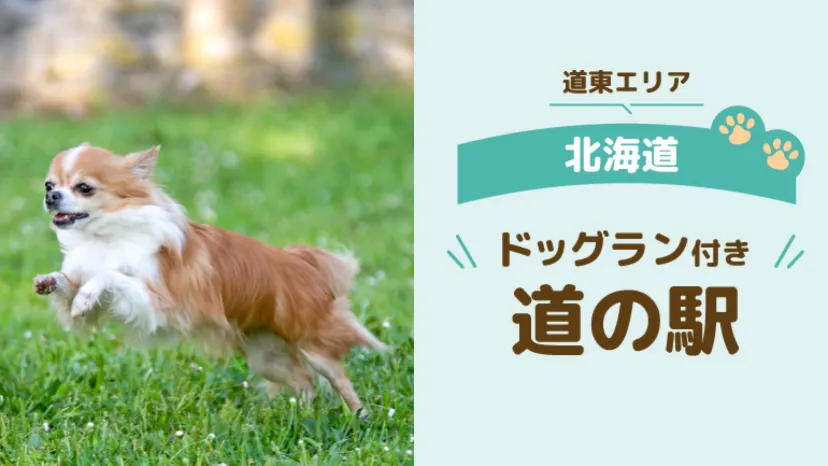 【北海道・道東】ドッグラン付き道の駅14選|愛犬との車中泊・キャンピングカー旅におすすめ