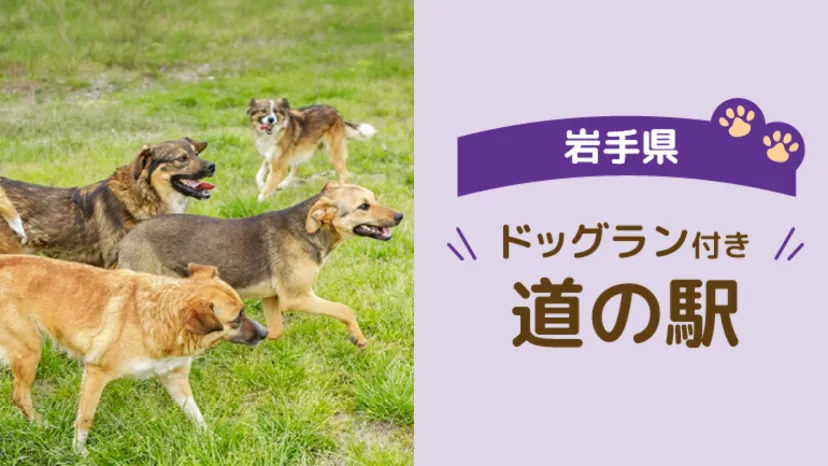 
                    【岩手県】愛犬と車中泊旅を楽しむなら！ドッグラン付き道の駅2選