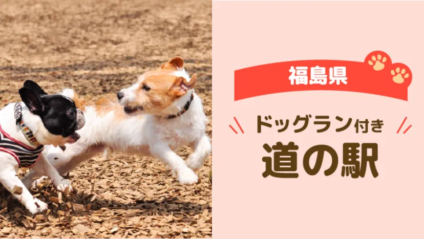 【福島県】愛犬と車旅を楽しむ!ドッグラン付き道の駅6選