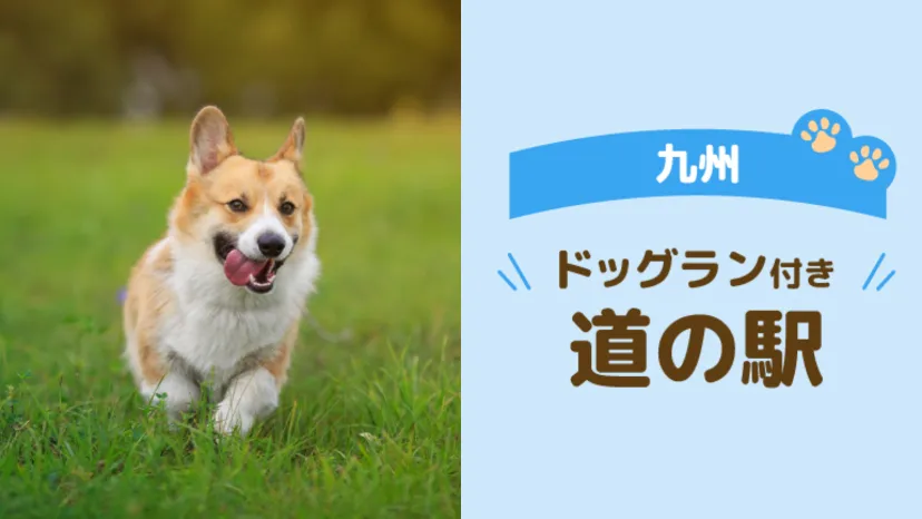 
                    【九州】愛犬と巡る九州ドライブ！ドッグラン＋絶景・温泉・グルメを楽しむ道の駅6選