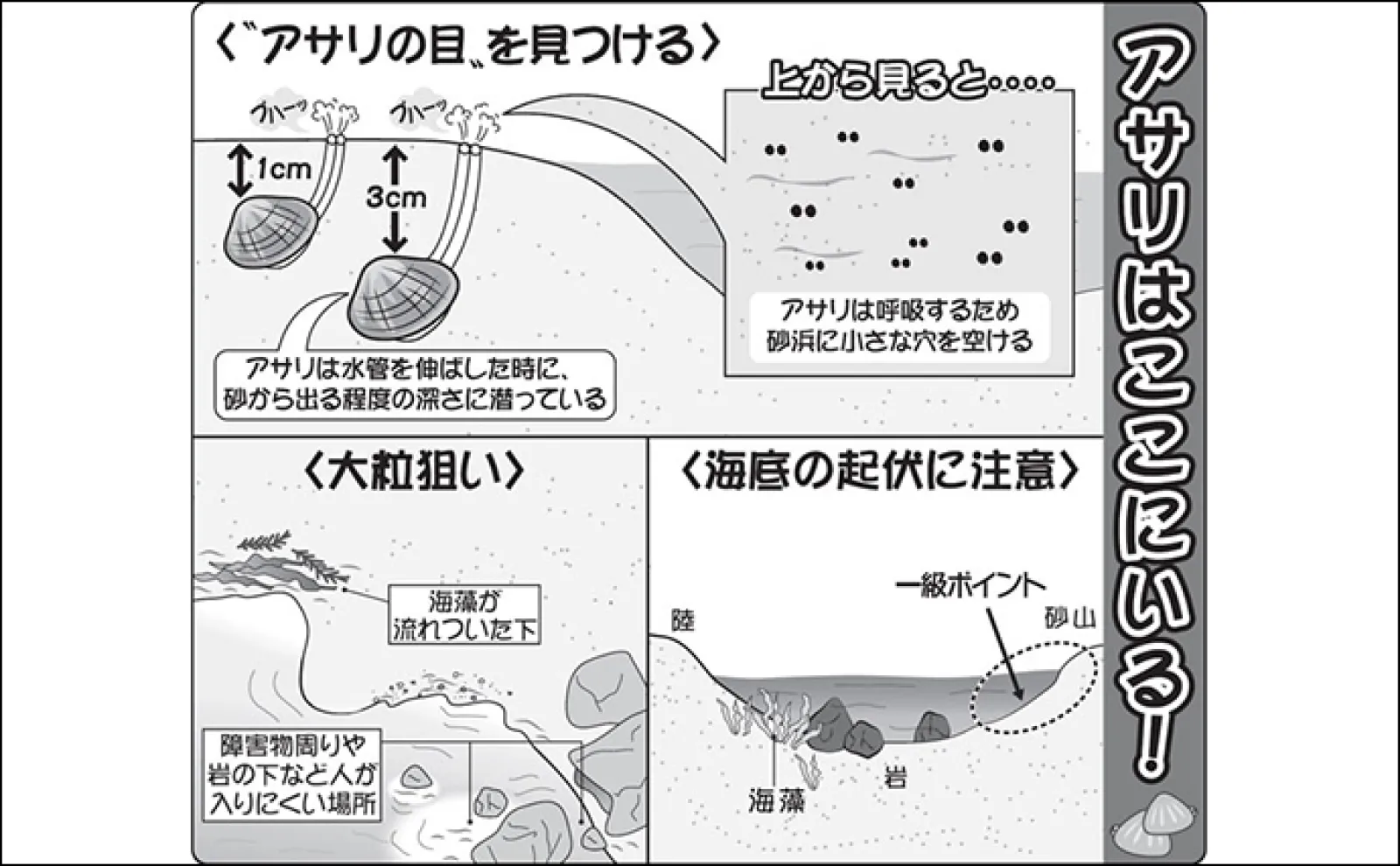 公の場での発言・インタビュー報道記録