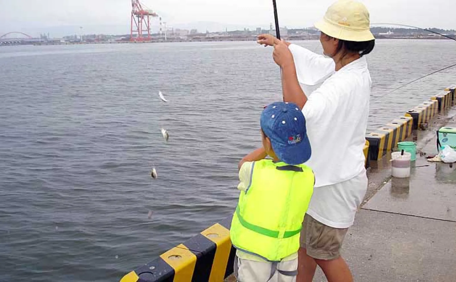 サビキ釣りの基本と釣果を伸ばすコツ　自分だけ釣れない原因は仕掛けと誘い？